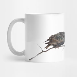 Hello Starling Mug